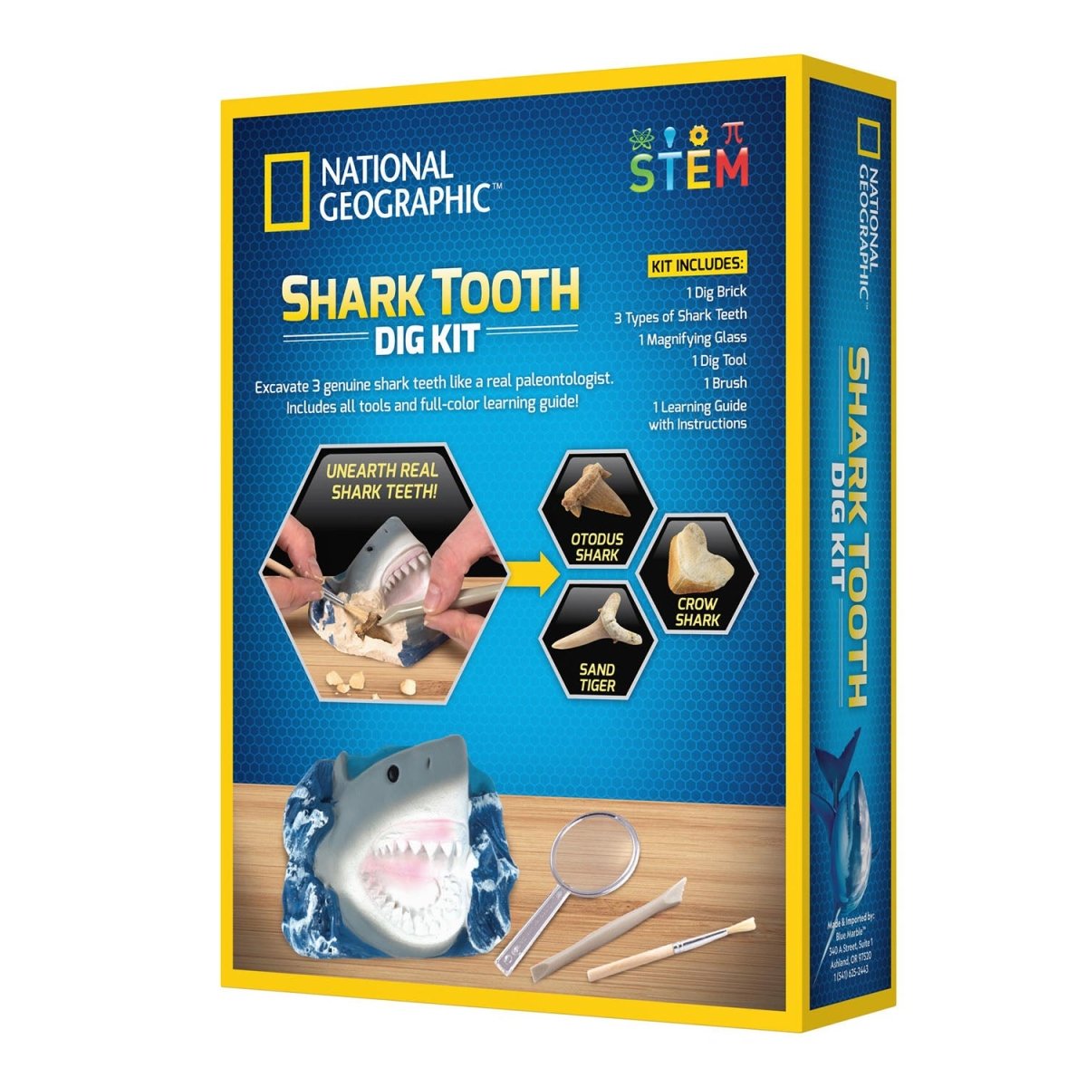 NG SHARK TOOTH DIG KIT - Premium for Kids in Qatar | Toysaro.com